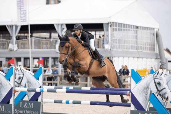 Novo cavalo para Rik Nauta