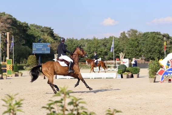 Jos Verlooy pontua no CSI4 * Valkenswaard
