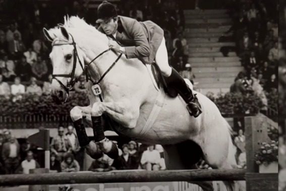 Cavalos lendários: Marius Silver Jubilee também conhecido como MILTON
