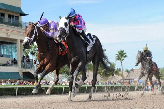 O cavalo vencedor acabou sendo doping durante o Kentucky Derby