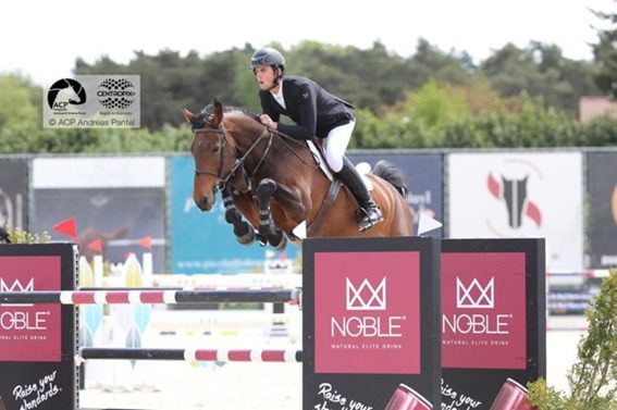 Quarto lugar para Vereecke na classe de cavalos de 7 anos em Bonheiden