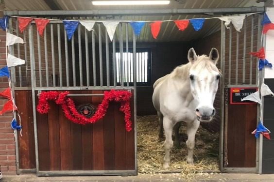De Sjiem comemora 32 anos