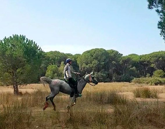 Mundial de Enduro Equestre 2021: a equipe brasileira e as expectativas para a prova