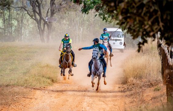 Haras Minas Gerais Endurance recebeu 50 conjuntos, de 20 km a prova CEI 3* 140km de Enduro Equestre
