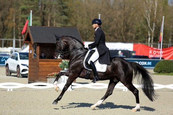 Edward Gal imbatível no campeonato holandês de dressur