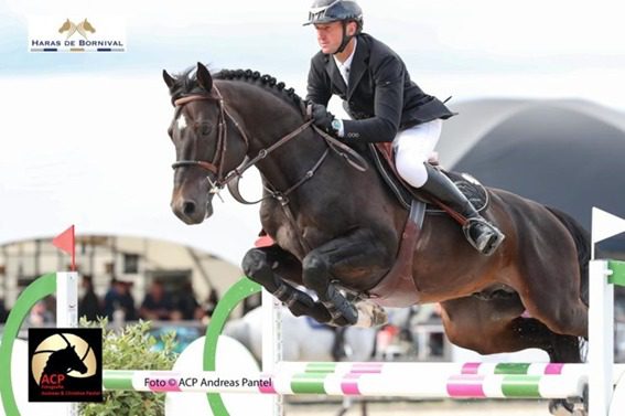 Koen Vereecke em segundo durante o Grande Prêmio 1m50 em Peelbergen
