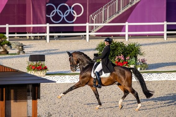 Apesar das boas pontuações, os cavaleiros de adestramento belgas não vão para Freestyle e Special