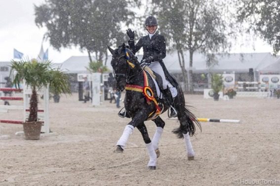 Jovens talentos belgas no adestramento competem pelos títulos do campeonato belga. Jerome Scheiders vence em novos de sete anos.