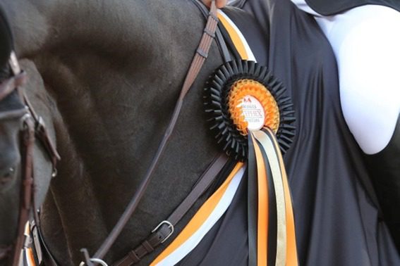 Gregory Wathelet vence CSI3 * 1m45 Stephex Masters