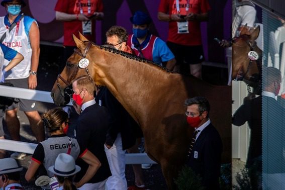Niels Bruynseels: “Às vezes você tem que ousar tomar decisões no interesse de seu cavalo”