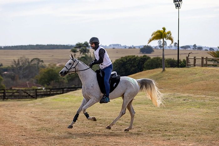 Pedro Marino é o campeão da disputa de 160km no Festival Internacional Haras Albar de Enduro Equestre em SP