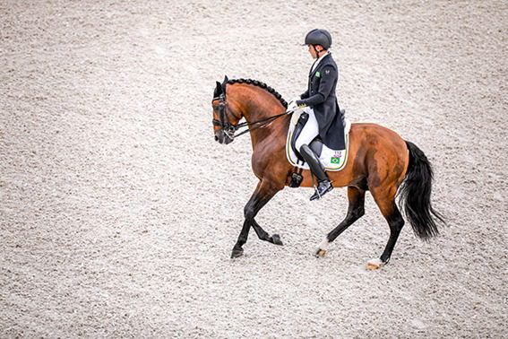 Brasil estreia com resultado recorde de João Victor Oliva e muito boa atuação de Rodolpho Riskalla no Adestramento em Aachen, Alemanha