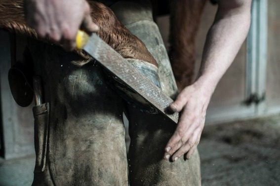 Equipe Farrier sueca: “Convencidos de que os solos modernos exigem uma abordagem descalça”