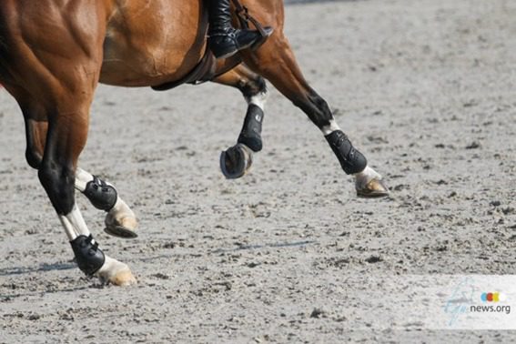 Daisuke Fukushima vende seu cavalo olímpico para Gut Einhaus LLC, entre outros