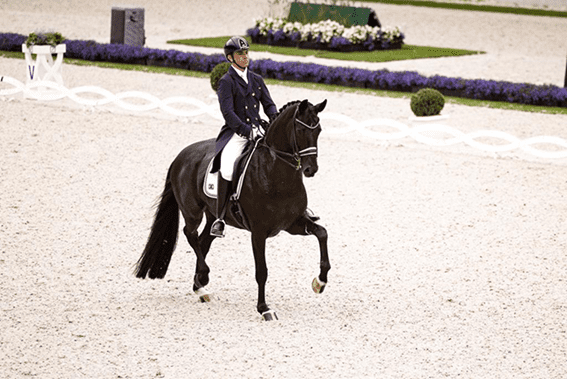Rodolpho Riskalla, medalhista paralímpico, estreou muito bem no Adestramento clássico em Aachen