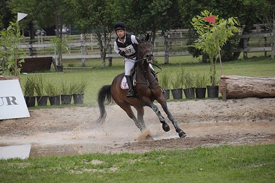 Brasileiro e Internacional de Concurso Completo Equitação movimentam o Clube Hípico de Santo Amaro