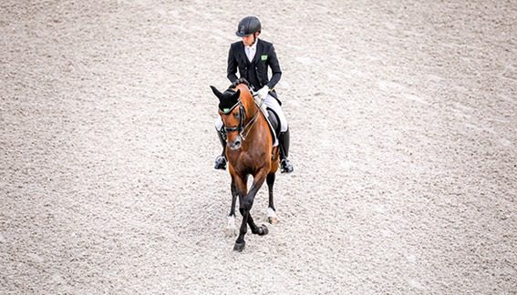 João Victor Marcari Oliva retorna ao picadeiro com 5º lugar no Grand Prix no Internacional 3* de Hagen, na Alemanha
