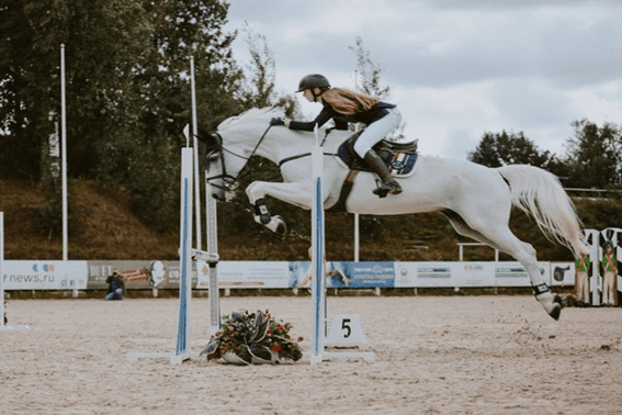 Só para pensar: o seu cavalo ‘gosta’ do trabalho dele?