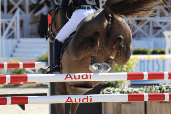 JM Indoor Masters: Arthur De Bruycker e Eline De Ridder saltam para a vitória em Destelbergen