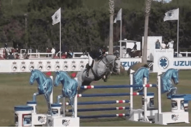 Androide 3k em quinto no Grande Prêmio do Sunshine Tour
