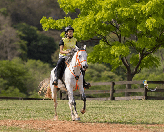 Copa Nacional de Enduro do Cavalo Árabe 2023 acontece neste sábado em  Campinas (SP)