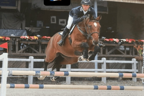 Diamond Van’t Breezerhof Z vendido para a França via Christophe Meirsschaert