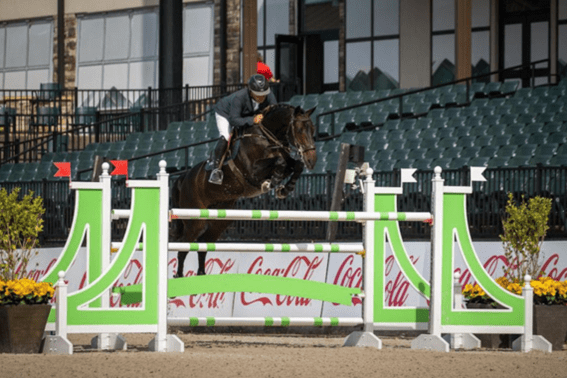 Verdini d’Houtveld Z brilha no número principal CSI3 * Tryon