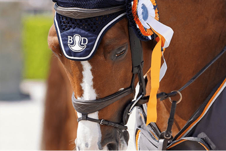 Égua BWP Imagine De Muze vence CSIO3 * Grand Prix em Vilamoura