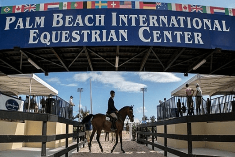 Filip de Wandel tem que tolerar Margie Engle no CSI3 * Grand Prix de Wellington