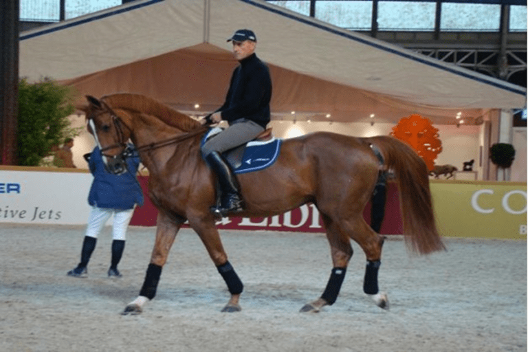 Baloubet du Rouet, líder em valores de criação alemães para show jumpers