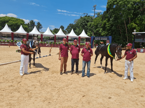 Cornets Best Jmen e Famoso do Rincão são os grandes campeões do XVI Festival Nacional do Bh