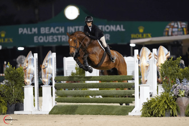 Taverse City Horse Shows sediará USHJA WCHR Central Hunter Spectacular de USHJA