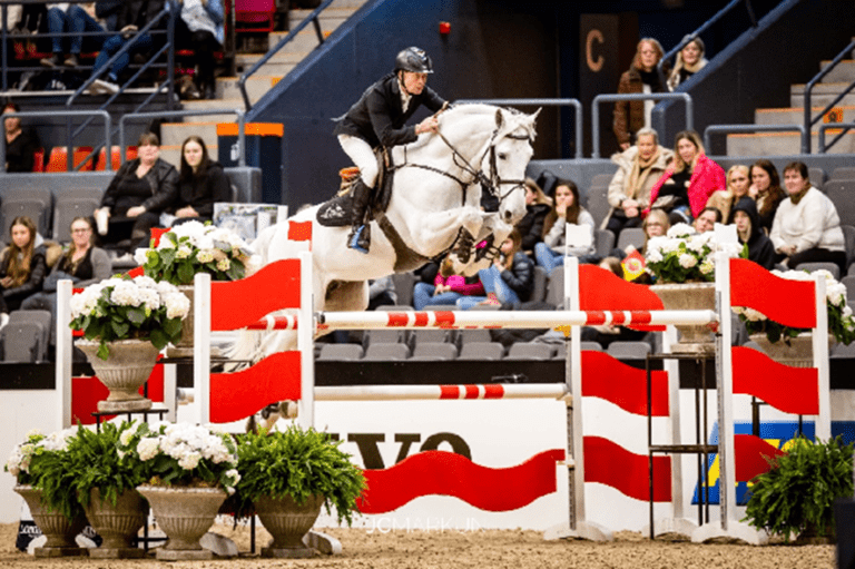 Dois zeros para Cassilano Jmen no CSI2* Peelbergen