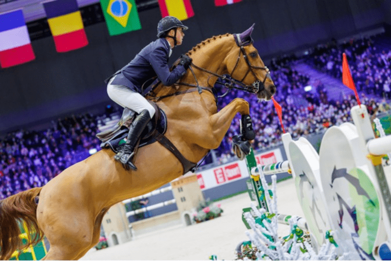 Explosion W e Hermès assumem a liderança na eleição de Cavalo do Ano da KWPN