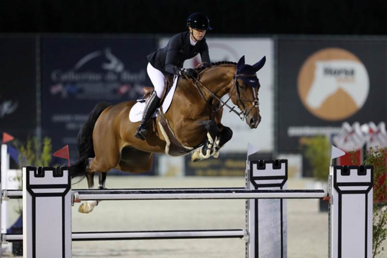 Ashford Farm diz adeus ao melhor cavalo Cismet 4