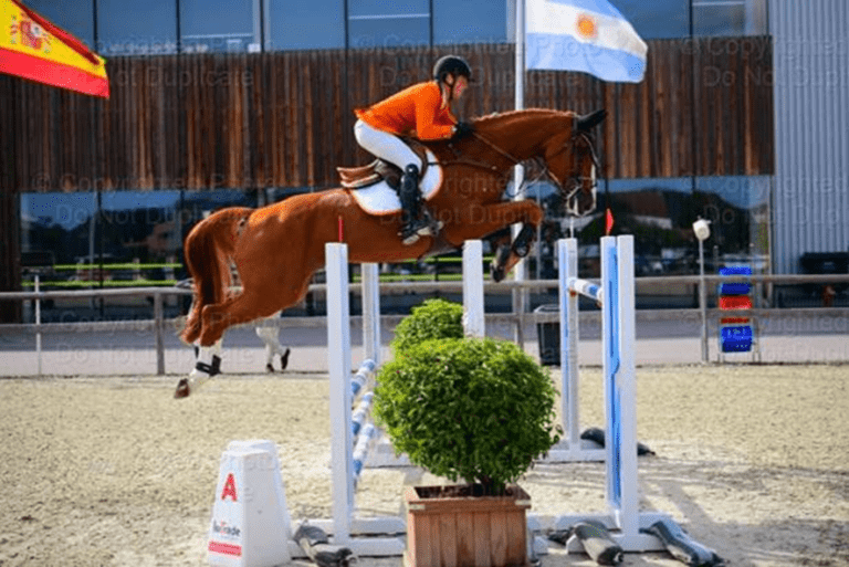 Jeffrey Schmitz deixa Jos Lansink