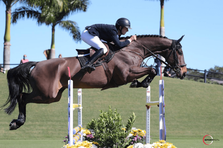Cavalo superior de Bertram Allen Classificado e vendido