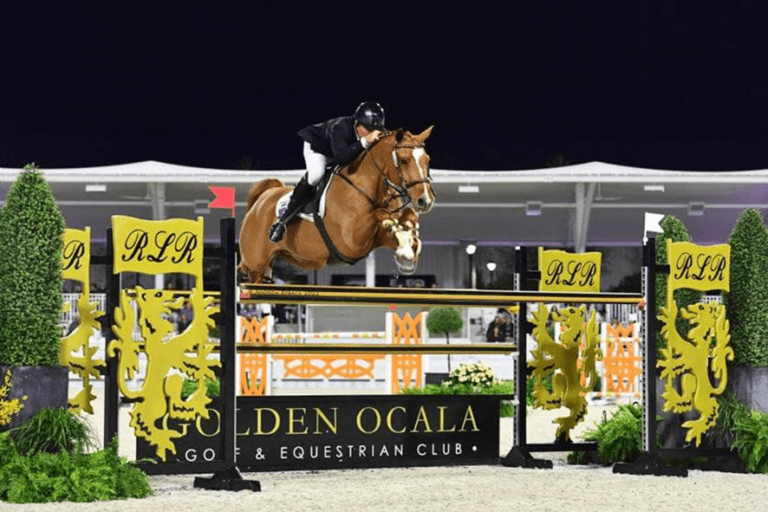 Horion de Libersart e Verdini d’Houtveld Z marcam forte em Ocala