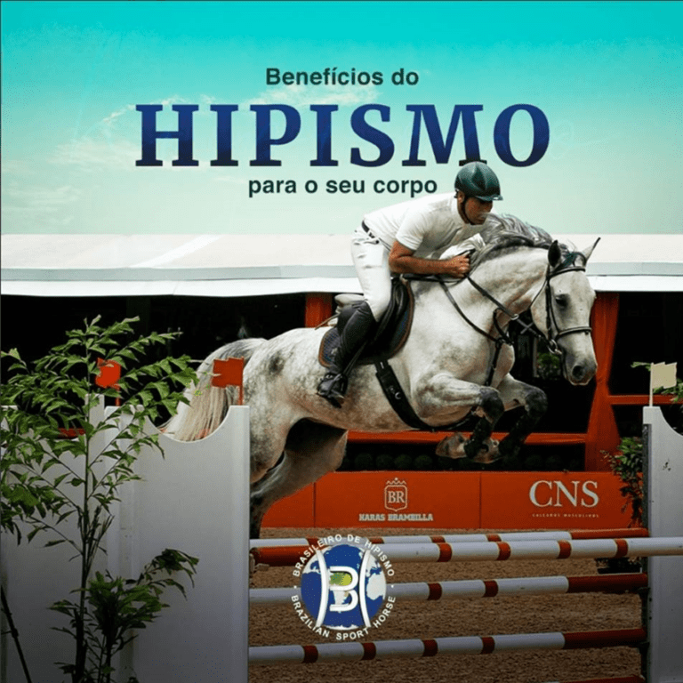 O hipismo une duas coisas importantes para o ser humano: amor e saúde