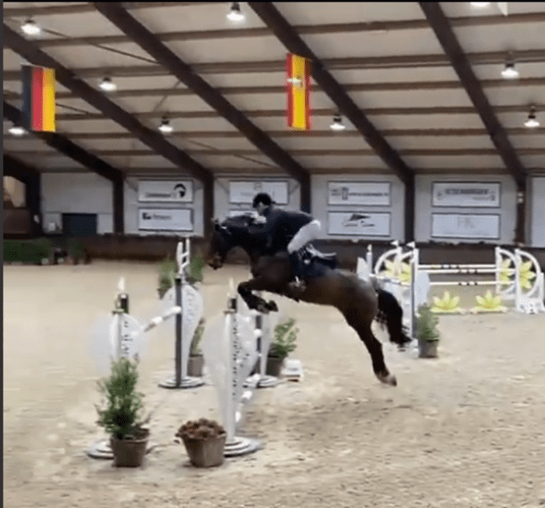 Kahorn Br salta no Peelbergen Equestrian Centre