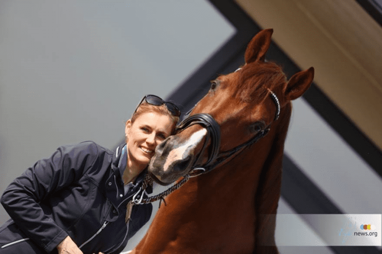 Garanhão do Grand Prix Cennin vendido para a Austrália