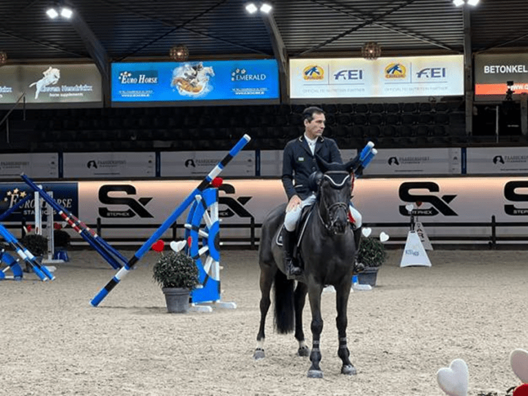 Miss-Sarajevo Império Egípcio em segundo no CSI2*de Lier