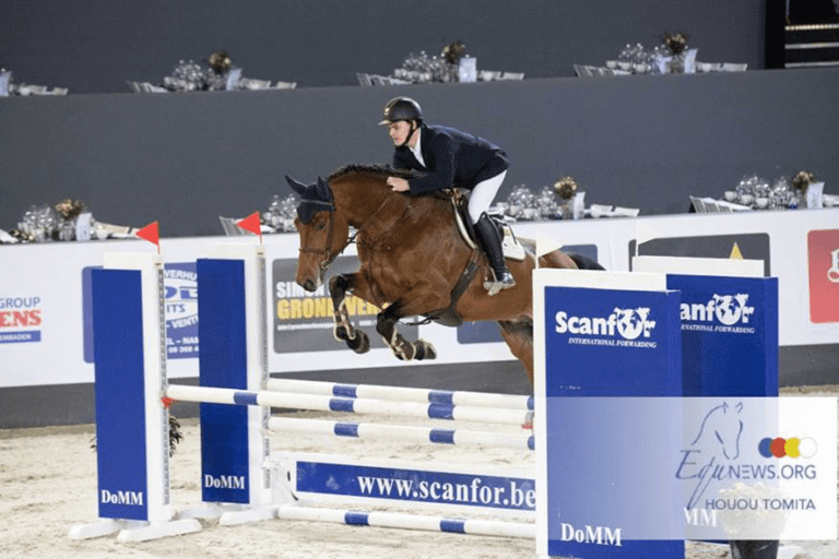 Garanhão BWP aprovado Quick Gin de Brandegem para Maarten Driessen