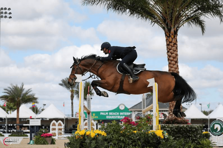 Jos Verlooy brilha nos prêmios em Wellington. Lorenzo De Luca vence o CSI5* 1,45m.