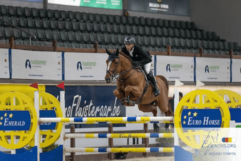 Joe Clee e Bullseye 111 Z vencem aos 7 anos na competição de garanhões