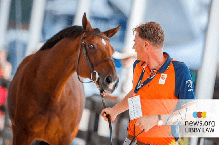 Cavalo do GP de Houtzagers, Edinus, de Sterrehof, é vendido para a América