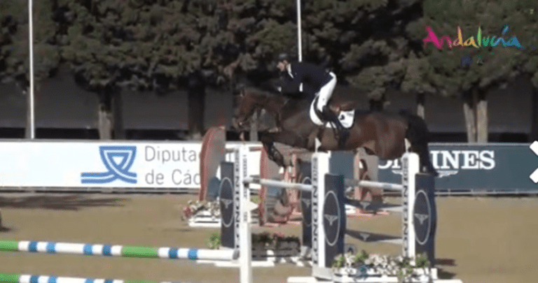Clear round para Cornet Phaeton Jmen em Vejer De La Frontera