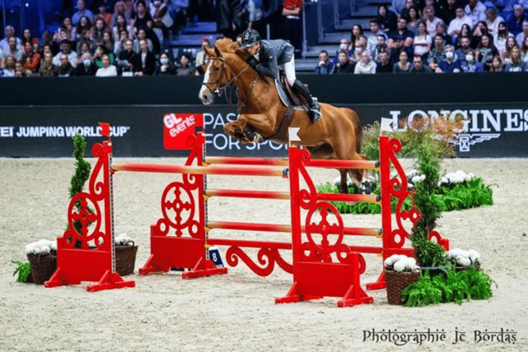 O melhor cavalo de Julien Epaillard, Billabong Du Roumois, é vendido para a família Charles