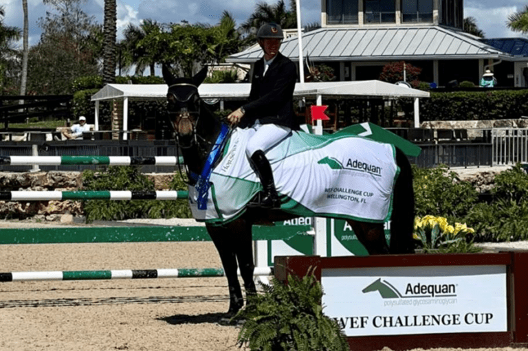 Jos Verlooy vence a qualificação do GP 4* 1,50m de Wellington