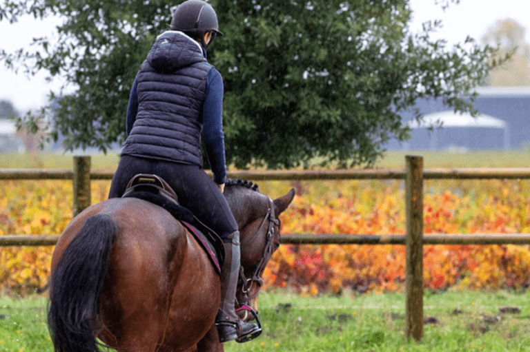 Três exercícios para melhorar a condição e os músculos do seu cavalo